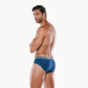 FUN BRIEF