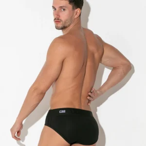 ESSENTIAL BRIEF
